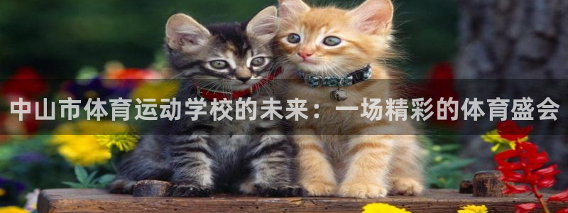 一竞技官方正版app五金厂