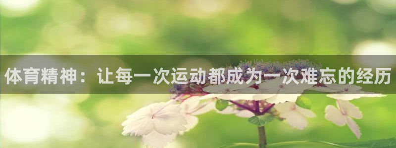 一竞技官方正版app娱乐是那个系列的台子：体育精神：