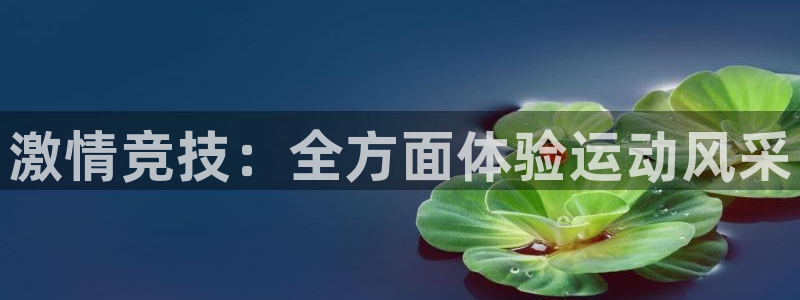 海南一竞技官网下载
