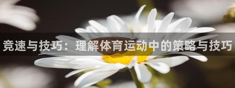 一竞技官网下载平台注册流程视频：竞速与技巧：理解体育运动中的