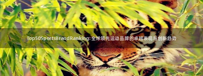一竞技官方正版app代理：Top50SportsBrandR