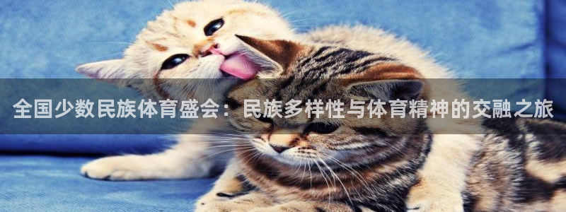 一竞技官方正版app官网