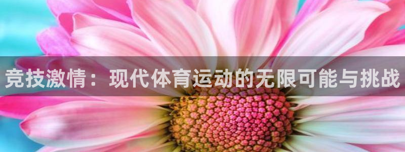一竞技官方正版app娱乐首页网站大全：竞技激情：现代体育运动