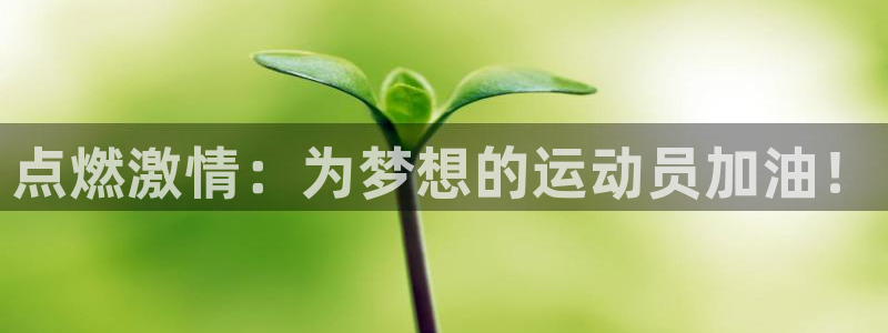 一竞技官方正版app集团官网首页：点燃激情：为梦想的运动员加