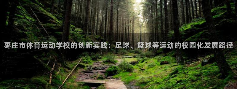 一竞技官网下载平台假的吗是真的吗吗：枣庄市体育运动学