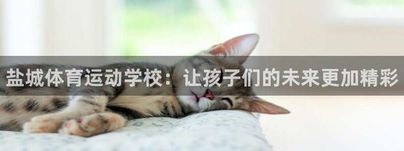 一竞技官方正版app神州：盐城体育运动学校：让孩子们的未来更