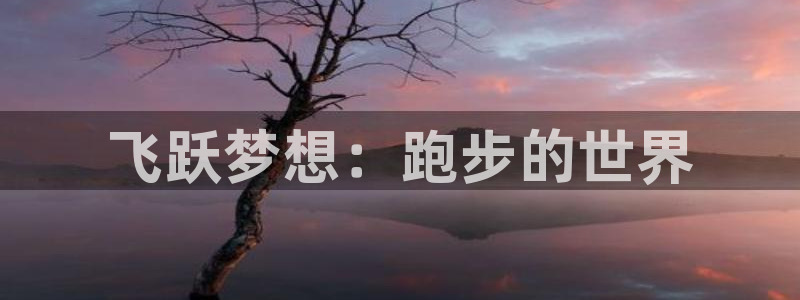 一竞技官网下载注册：飞跃梦想：跑步的世界