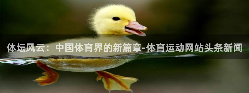 一竞技官方正版app娱乐首页官网下载：体坛风云：中国