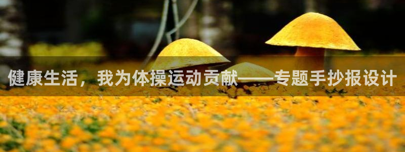 一竞技官网下载软件：健康生活，我为体操运动贡献——专