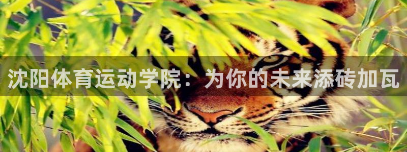 一竞技官网下载平台注册要钱吗安全吗：沈阳体育运动学院