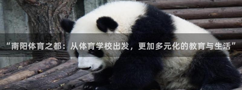一竞技官网下载软件：“南阳体育之都：从体育学校出发，更加多元