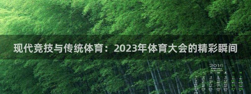 一竞技官网下载平台假的吗是真的吗：现代竞技与传统体育：202