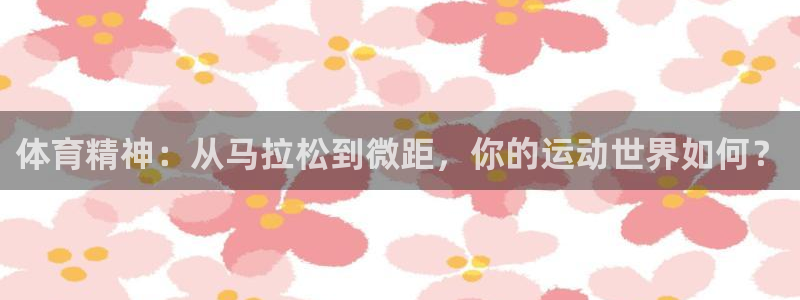 一竞技官方正版app新能源：体育精神：从马拉松到微距，你的运