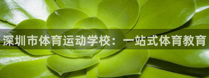 一竞技官网下载招商电话是多少号码：深圳市体育运动学校：一站式