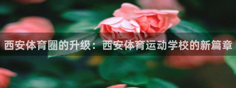 一竞技官网下载招商电话号码查询：西安体育圈的升级：西安体育运