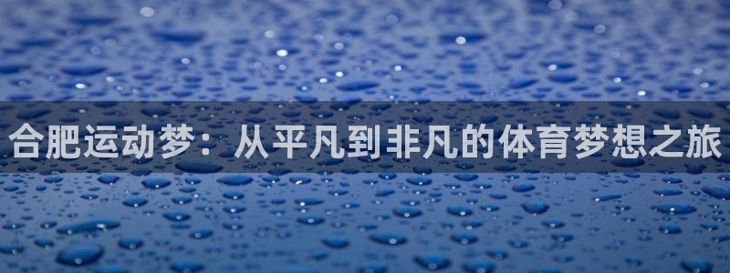 一竞技官方正版app五金厂:合肥运动梦:从平凡到非凡的体育梦