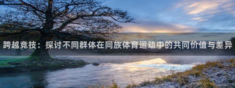 一竞技官方正版app神州：跨越竞技：探讨不同群体在同