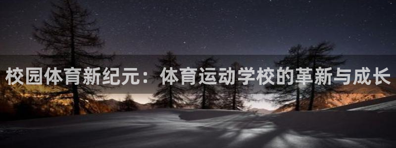 一竞技官网下载平台注册要钱吗：校园体育新纪元：体育运