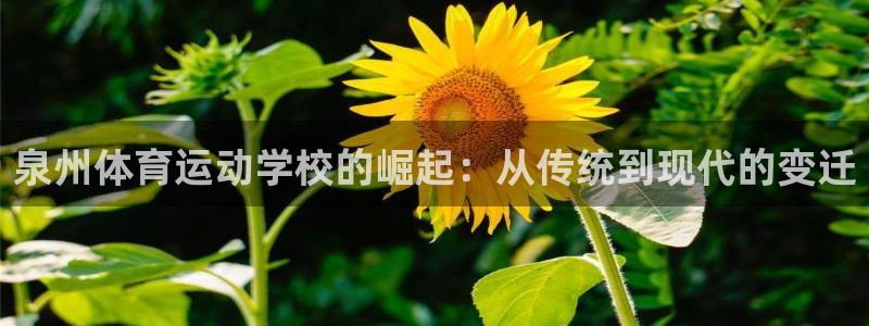 一竞技官网下载官方客服电话：泉州体育运动学校的崛起：从传统到