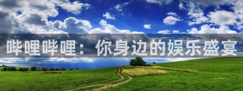 雨燕体育免费直播在线观看：哔哩哔哩：你身边的娱乐盛宴