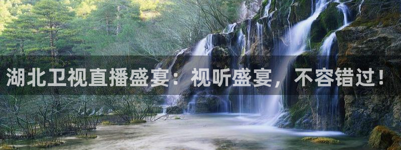 雨燕360足球高清直播：湖北卫视直播盛宴：视听盛宴，不容错过！