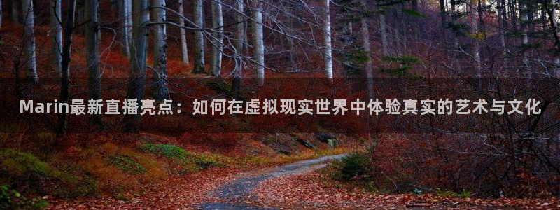 雨燕体育直播网：Marin最新直播亮点：如何在虚拟现实世界中体验真实的艺术与文化