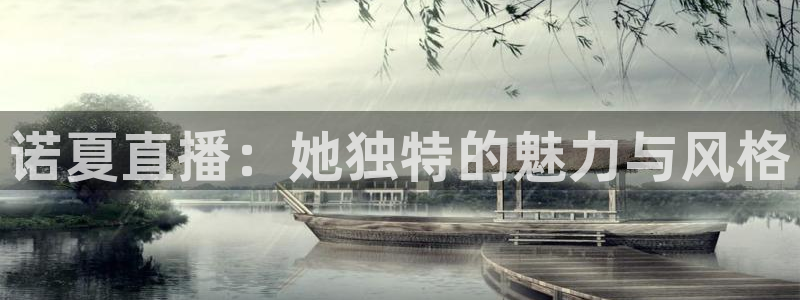 雨燕乐球直播nba：诺夏直播：她独特的魅力与风格