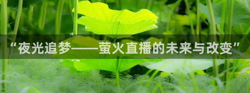 360雨燕免费直播：“夜光追梦——萤火直播的未来与改变”
