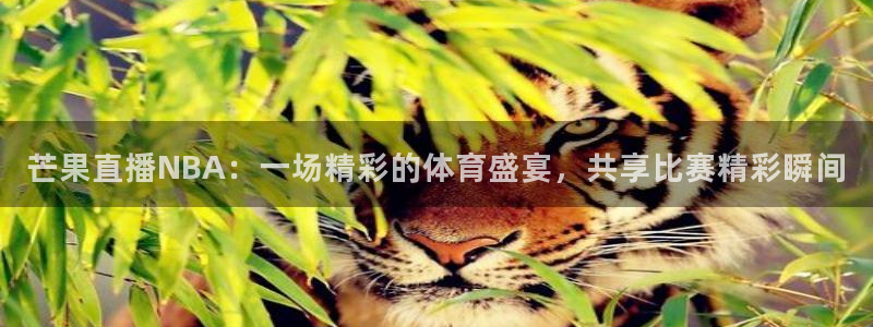 雨燕360体育足球直播