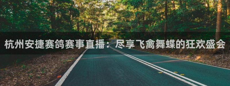 雨燕直播体育免费直播nba在线观看：杭州安捷赛鸽赛事直播：尽享飞禽舞蝶的狂欢盛会