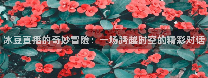 雨燕足球比赛直播网：冰豆直播的奇妙冒险：一场跨越时空的精彩对话
