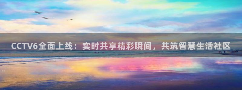雨燕体育在线观看免费：CCTV6全面上线：实时共享精彩瞬间，共筑智慧生活社区