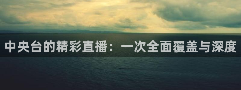 雨燕直播体育：中央台的精彩直播：一次全面覆盖与深度