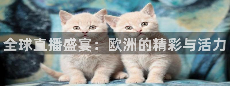 雨燕体育免费直播平台：全球直播盛宴：欧洲的精彩与活力